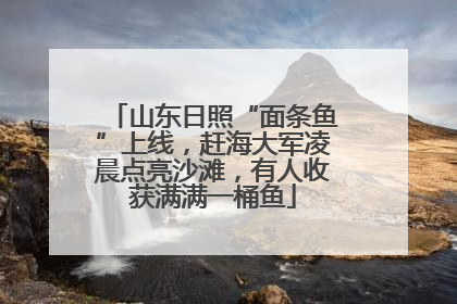 山东日照“面条鱼”上线，赶海大军凌晨点亮沙滩，有人收获满满一桶鱼