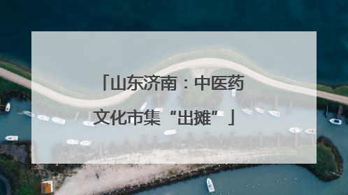 山东济南：中医药文化市集“出摊”