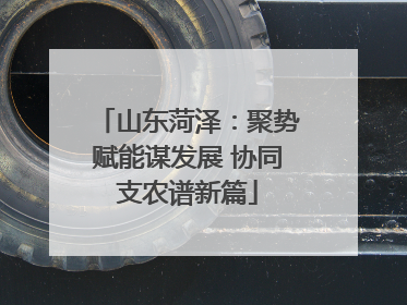 山东菏泽：聚势赋能谋发展 协同支农谱新篇