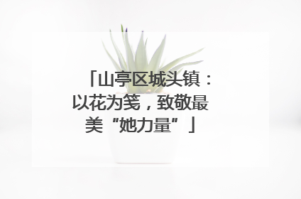 山亭区城头镇：以花为笺，致敬最美“她力量”
