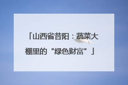 山西省昔阳：蔬菜大棚里的“绿色财富”