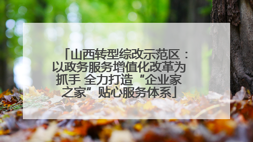 山西转型综改示范区：以政务服务增值化改革为抓手 全力打造“企业家之家”贴心服务体系