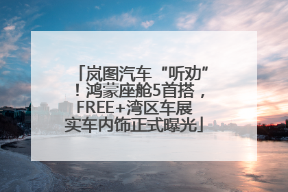 岚图汽车“听劝”！鸿蒙座舱5首搭，FREE+湾区车展实车内饰正式曝光