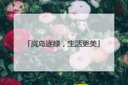 岚岛逐绿，生活更美