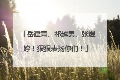 岳建青、祁越男、张煜婷！狠狠表扬你们！