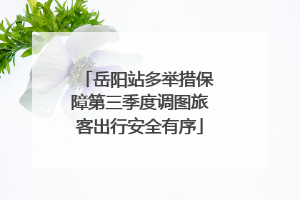 岳阳站多举措保障第三季度调图旅客出行安全有序