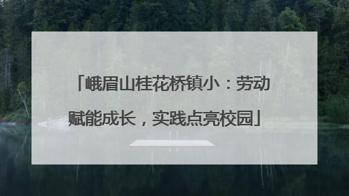 峨眉山桂花桥镇小：劳动赋能成长，实践点亮校园