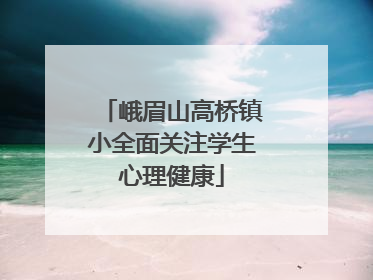 峨眉山高桥镇小全面关注学生心理健康