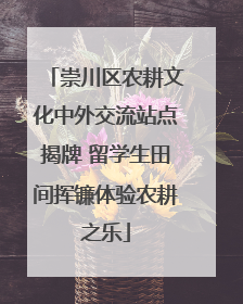 崇川区农耕文化中外交流站点揭牌 留学生田间挥镰体验农耕之乐