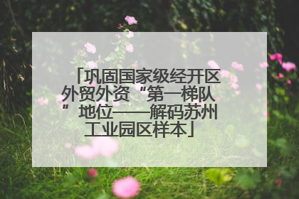 巩固国家级经开区外贸外资“第一梯队”地位——解码苏州工业园区样本