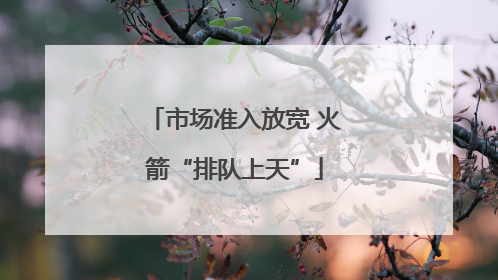 市场准入放宽 火箭“排队上天”