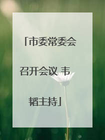 市委常委会召开会议 韦韬主持