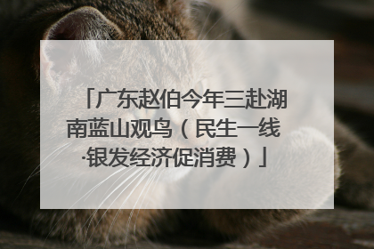 广东赵伯今年三赴湖南蓝山观鸟（民生一线·银发经济促消费）