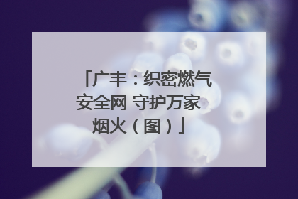广丰：织密燃气安全网 守护万家烟火（图）