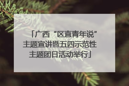 广西“区直青年说”主题宣讲暨五四示范性主题团日活动举行