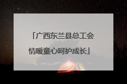 广西东兰县总工会情暖童心呵护成长