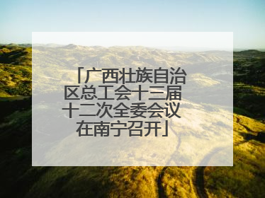 广西壮族自治区总工会十三届十二次全委会议在南宁召开