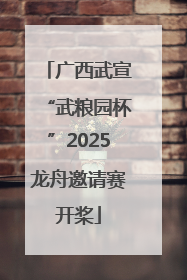 广西武宣“武粮园杯”2025龙舟邀请赛开桨