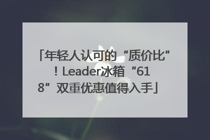 年轻人认可的“质价比”！Leader冰箱“618”双重优惠值得入手