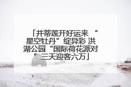 并蒂莲开好运来 “星空牡丹”绽异彩 洪湖公园“国际荷花派对”三天迎客六万