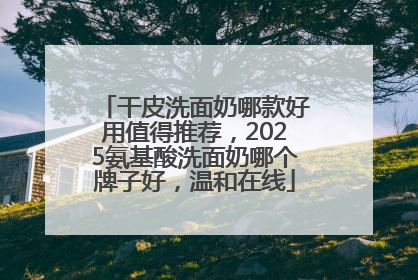 干皮洗面奶哪款好用值得推荐，2025氨基酸洗面奶哪个牌子好，温和在线