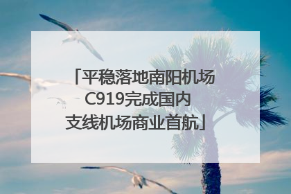 平稳落地南阳机场 C919完成国内支线机场商业首航