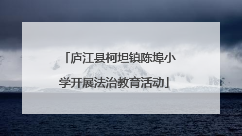 庐江县柯坦镇陈埠小学开展法治教育活动