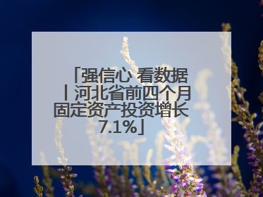 强信心 看数据丨河北省前四个月固定资产投资增长7.1%