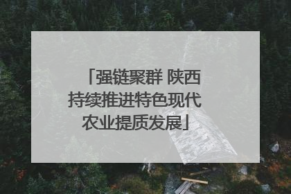 强链聚群 陕西持续推进特色现代农业提质发展