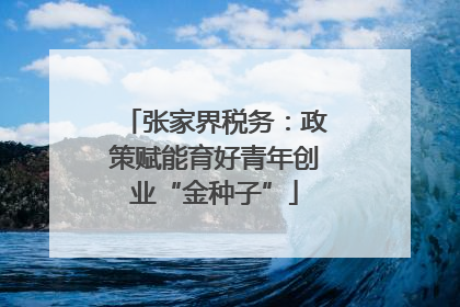 张家界税务：政策赋能育好青年创业“金种子”
