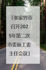 张家界市召开2025年第二次市委旅工委主任会议