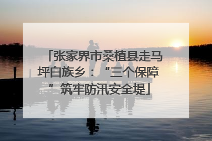 张家界市桑植县走马坪白族乡：“三个保障”筑牢防汛安全堤