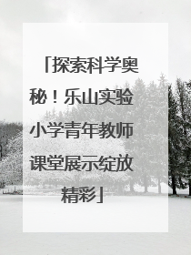 探索科学奥秘！乐山实验小学青年教师课堂展示绽放精彩