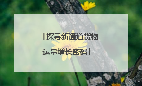 探寻新通道货物运量增长密码