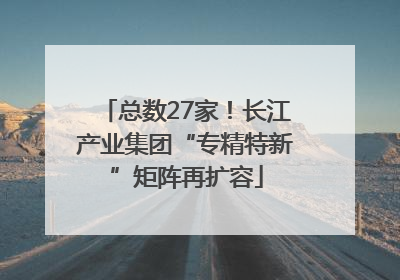总数27家！长江产业集团“专精特新”矩阵再扩容