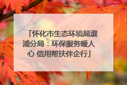 怀化市生态环境局溆浦分局：环保服务暖人心 信用帮扶伴企行