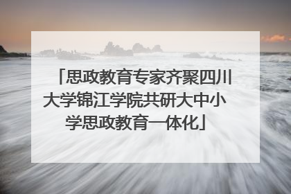 思政教育专家齐聚四川大学锦江学院共研大中小学思政教育一体化