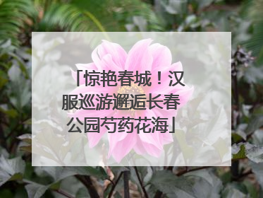 惊艳春城！汉服巡游邂逅长春公园芍药花海