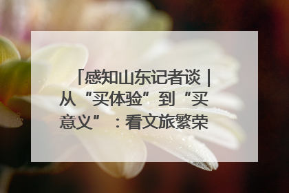 感知山东记者谈｜从“买体验”到“买意义”：看文旅繁荣背后的幸福新定义