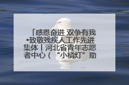 感恩奋进 双争有我•致敬残疾人工作先进集体丨河北省青年志愿者中心（“小橘灯”助残接力计划实施团队）：用温暖陪伴，守护特殊孩子成长