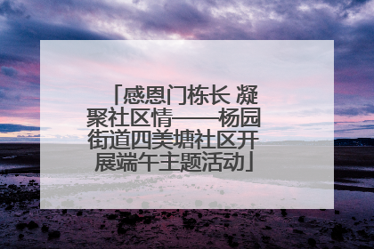 感恩门栋长 凝聚社区情——杨园街道四美塘社区开展端午主题活动