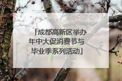 成都高新区举办年中大促消费节与毕业季系列活动