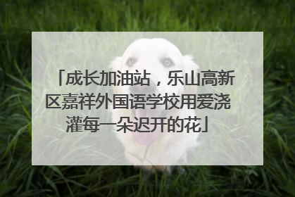 成长加油站，乐山高新区嘉祥外国语学校用爱浇灌每一朵迟开的花