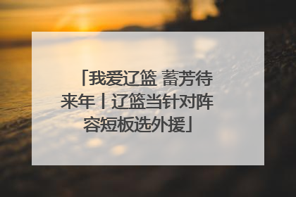我爱辽篮 蓄芳待来年丨辽篮当针对阵容短板选外援