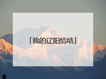 我的辽阳情结
