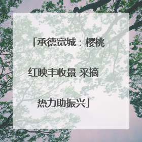 承德宽城：樱桃红映丰收景 采摘热力助振兴