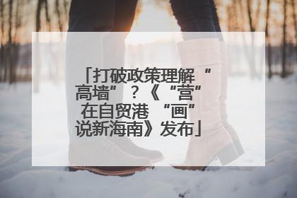 打破政策理解“高墙”？《“营”在自贸港 “画”说新海南》发布