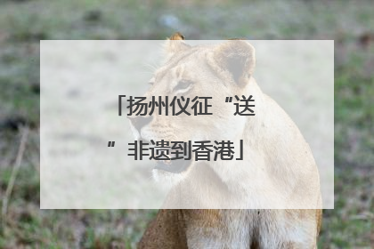 扬州仪征“送”非遗到香港