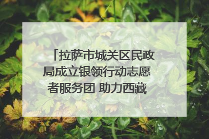 拉萨市城关区民政局成立银领行动志愿者服务团 助力西藏银发经济发展