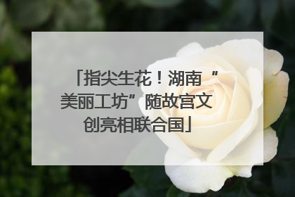 指尖生花！湖南“美丽工坊”随故宫文创亮相联合国
